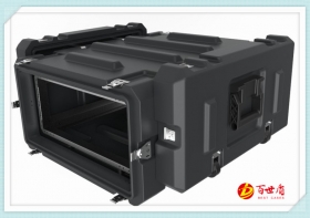 4U  Portable Rack Case